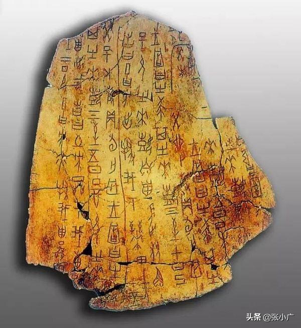 藁城怎么读:“艹”字头下面一个“高”，高下面一个“木”，念什么？