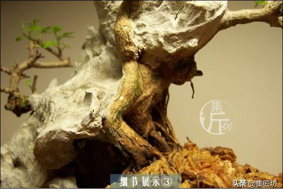 培新机械:工业机器人专业有哪些就业方向？
