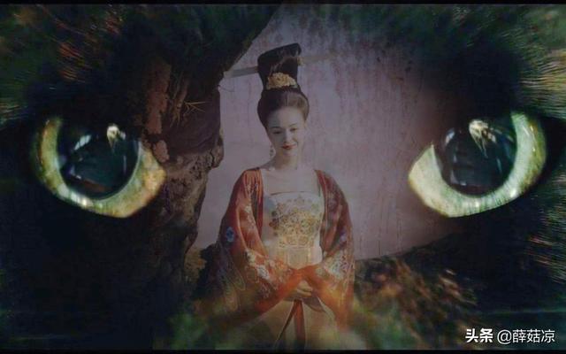 吴京个人资料:吴京为什么让很多中国大导演们眼红