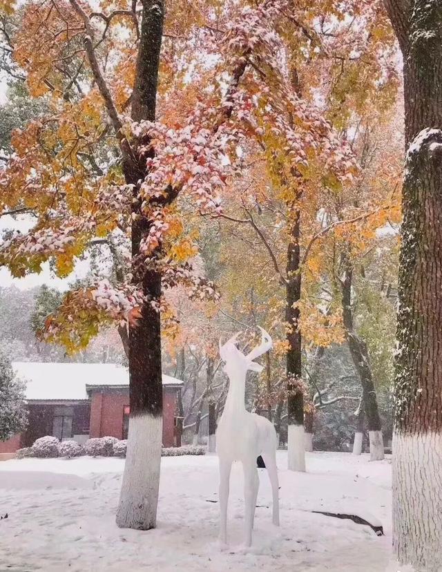 沙雕搞笑雪人图片大全，爆笑雪人GIF动态图集锦