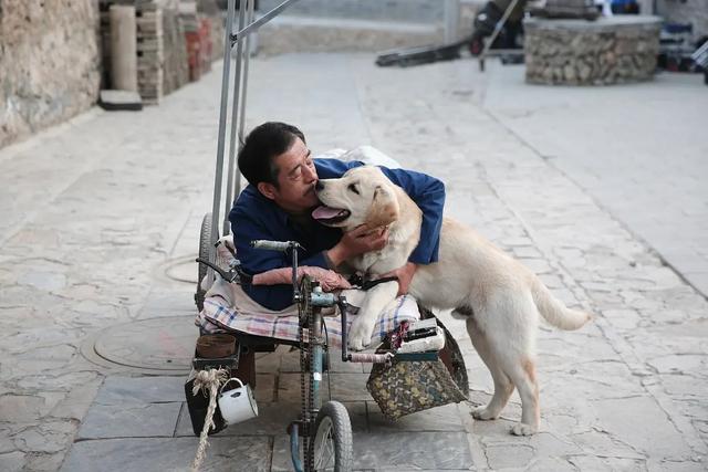 导盲犬小q国语迅雷下载:哪部电影中狗对主人的忠诚感动了你？