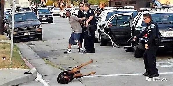 狗咬人图片:为什么恶犬伤人事件频发？