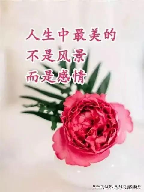 爷孙恋女方怀孕:70岁老挝土豪娶20岁貌美女大学生，你怎么看待？