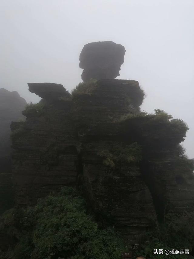 贵州省梵净山简介（贵州梵净山具体位置）