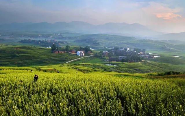 村中水怪，儿时的记忆，乡村袅袅炊烟，四季平安，风调雨顺，还记得吗