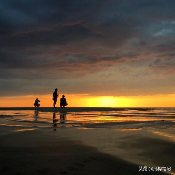 头条问答 - 用手机拍照总感觉对焦和曝光不准,哪位大神给我指导一下?