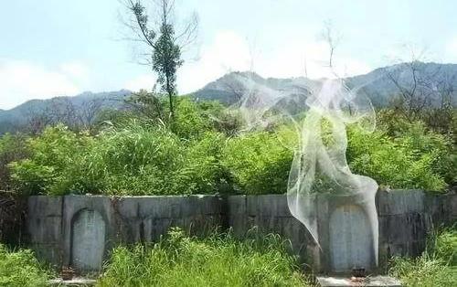 怎么判断祖坟有问题,祖坟上冒青烟是好话还是坏话？