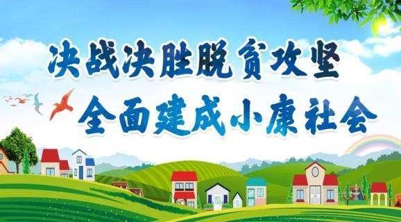 私人定制创业项目，一千块钱可以做什么创业项目