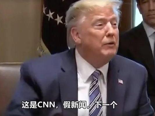 哲也二号嘴里叼花的图片:哲也二号萌图 突发:彭斯开始自我隔离，美感染者破136万，特朗普要隔离么？