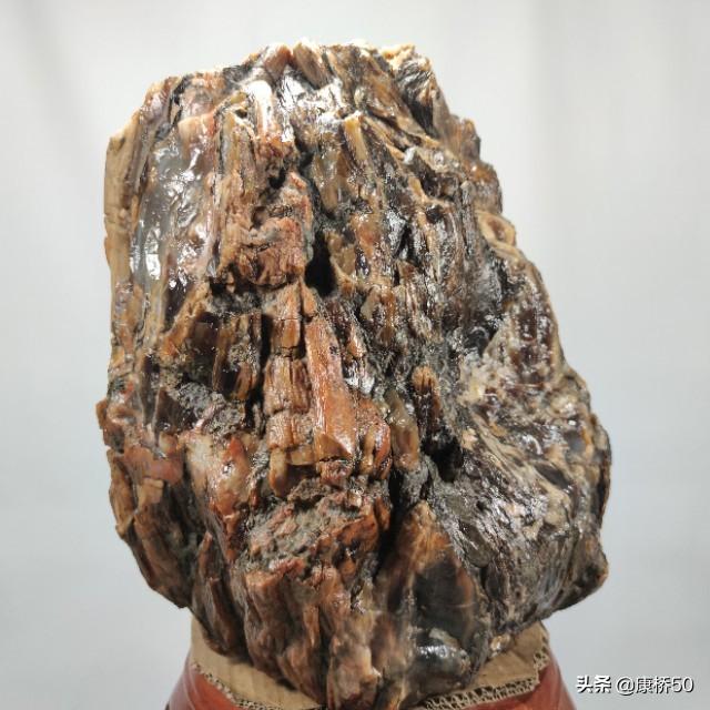 最贵的树化玉原石图片,什么树的化石比较有价值？