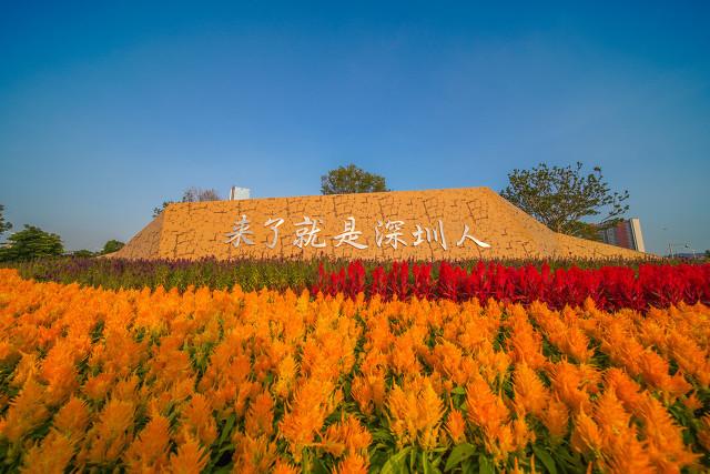 来了深圳就是深圳人,高高的房价,居无定所,你还这样理解吗？