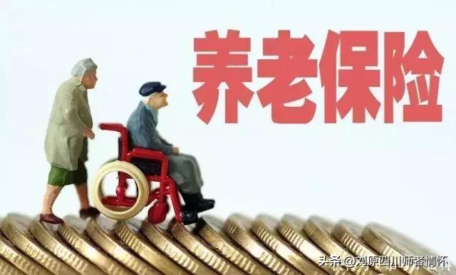 十大动物明星月入九万的狗引关注:国家统计局公布教师平均工资9万7，你你相信吗？