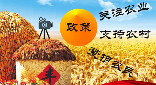 什么是三农？三农领域创作者应该拍什么样的视频？