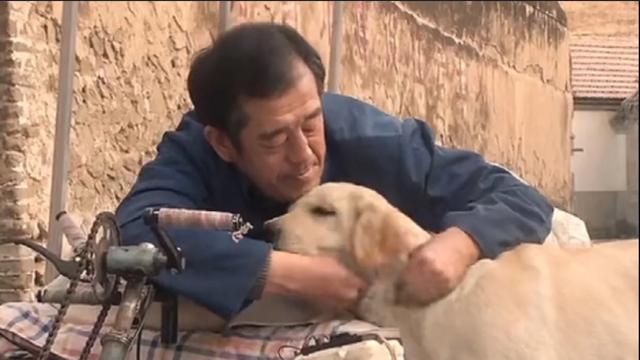 关于动物的电影18部:有没有好看的宠物类电影？