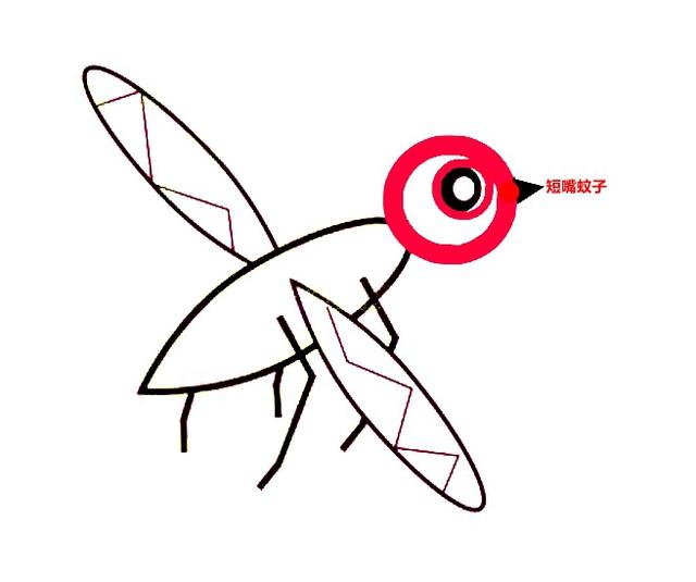 韩寒代笔:对于池子的昙花一现您有什么看法