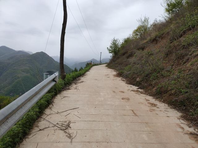 新藤惠美:地里长了许多葛根藤，怎么清除？