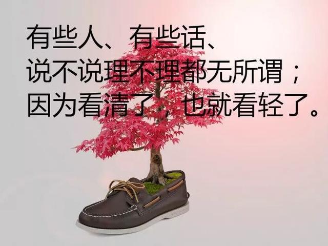 早安励志正能量心语190220：倔强不屈的心，永远炙热滚烫