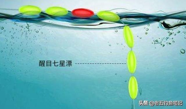 贝灵顿梗:七星漂浮力大的好还是小的好？
