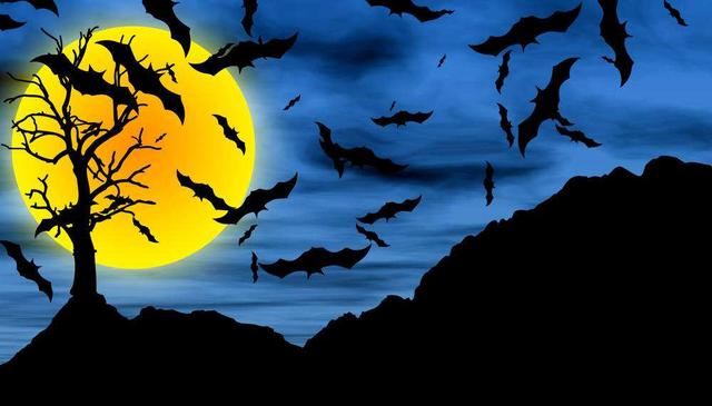 蝙蝠究竟有多恐怖？