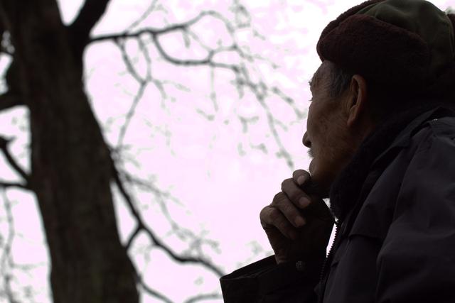 沧桑是什么意思:什么是人生沧桑?它是美丽的,还是丑恶的?  第1张