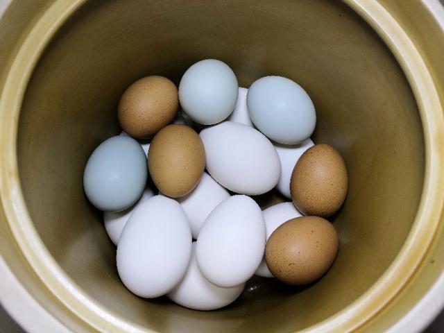 鹅蛋的做法有哪些，我们很少吃到鹅蛋，有什么鹅蛋美食推荐鹅蛋有什么吃法