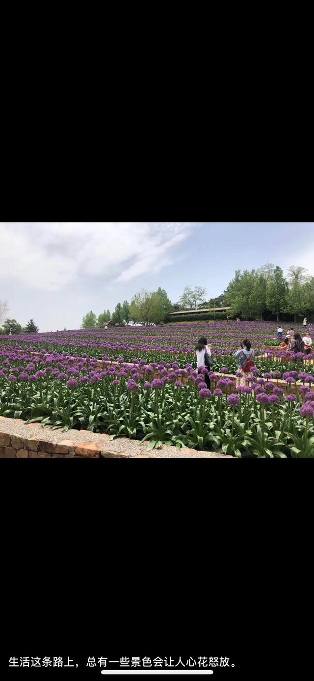 最值得去的十座东北城市有哪些，东北三省的十大城市是哪些城市