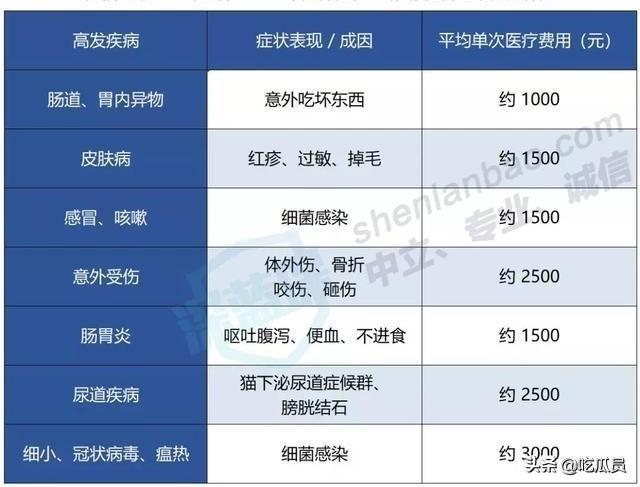 有人用过宠物宝药液吗:现在的宠物医疗保险怎么样，有哪些推荐？