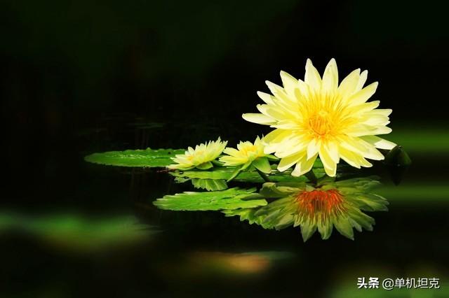 微信<a href=https://maguai.com/list/256-0-0.html target=_blank class=infotextkey><a href=https://maguai.com/list/256-0-0.html target=_blank class=infotextkey>朋友圈</a></a>用语:你<a href=https://maguai.com/list/256-0-0.html target=_blank class=infotextkey><a href=https://maguai.com/list/256-0-0.html target=_blank class=infotextkey>朋友圈</a></a>发过最新<a href=https://maguai.com/list/39-0-0.html target=_blank class=infotextkey><a href=https://maguai.com/list/39-0-0.html target=_blank class=infotextkey>搞笑</a></a>句子是什么？