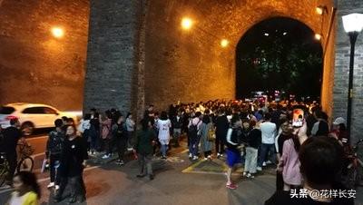 西北藏獒网红王一号:怎么看待西安是一个网红城？