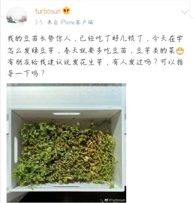 孙俪个人资料:孙俪每年为何只拍一部戏？