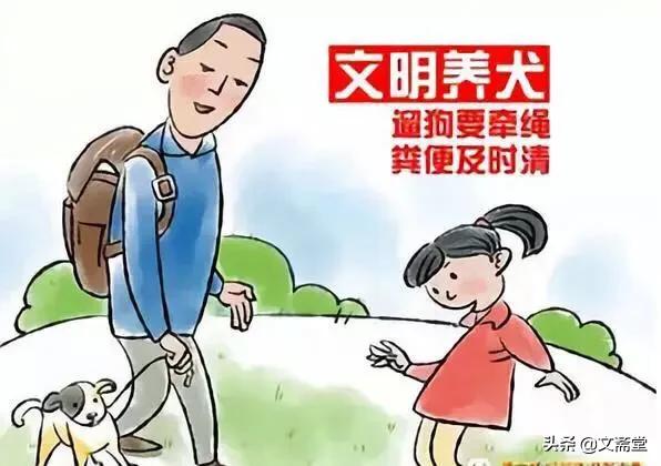 襄阳宠物吧:襄阳有哪些宠物医院？具体地址是在哪？