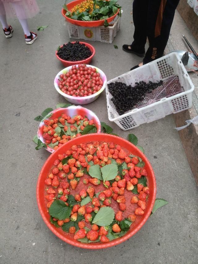 卡乐猫:一个月小猫怎么分银点和渐层？ 卡乐猫app下载