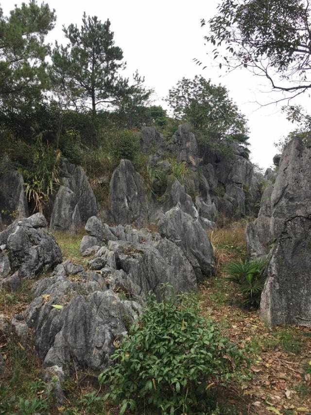 千岛湖蛇岛:请问；去过千岛湖的朋友，千岛湖怎么玩好，那些景点必须去？