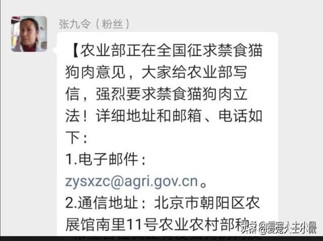 狗主人将宠物狗尸体埋小区:小区里有人讨厌狗狗，投毒致数十条狗狗死亡，这些都不用负责吗？