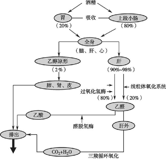 白酒最怕的解药是什么？插图49
