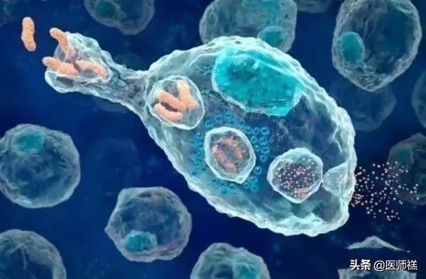 寄生虫感染的免疫:寄生虫感染的免疫类型 hiv主要侵害哪种细胞？主要有哪些症状？