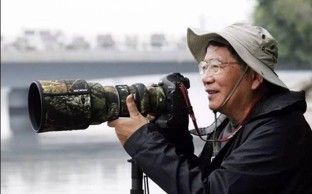 关于翠鸟的图片:尼康D500相机配原厂什么镜头“打鸟”好？