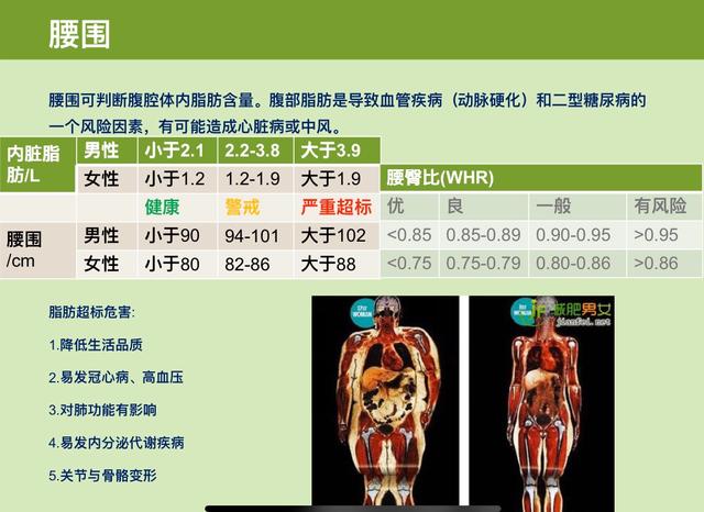 头条问答 你觉得体重重要还是体型重要 文教练的回答 0赞