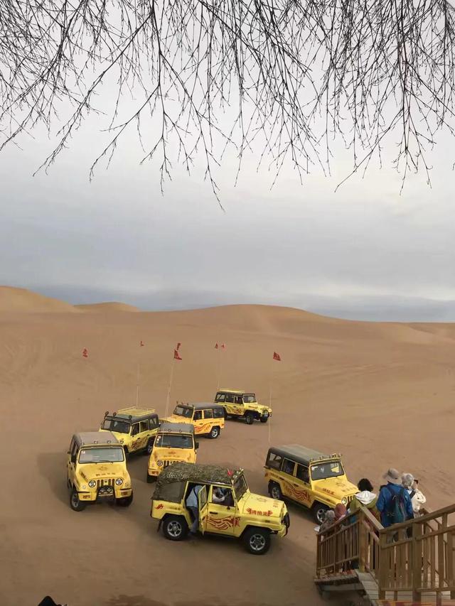 骆驼在撒哈拉沙漠雪中漫步:走在沙漠上的感受是怎样的？