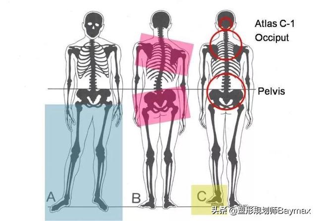 造成身长腿短的原因:长短腿形成的原因，如何改善？