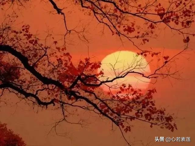 每到日落的时候你是否会感伤？