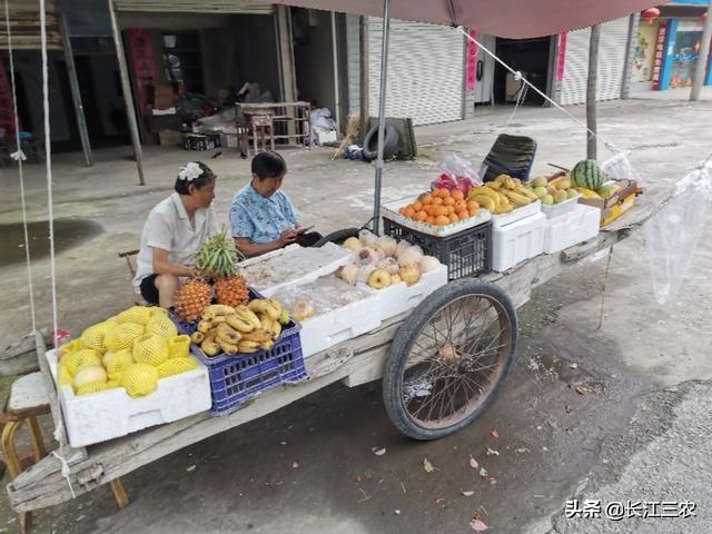 为何传统鱼子酱市场凋零的很快，为何农村现在很少有人做豆腐了