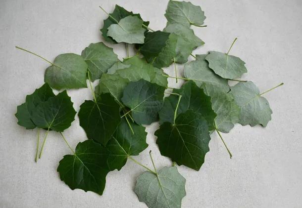 玉石真皮假皮怎么区分,在购买真皮皮衣时，如何识别皮衣真伪？