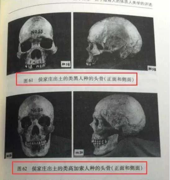 三星堆文化与殷商同期，那同期商朝君王是谁？双方有文化交流么？