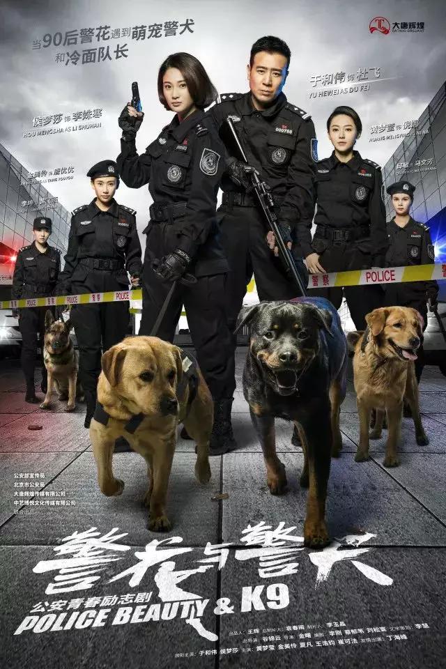 狗狗与我的十个约定电视剧:关于犬的都有什么电影和电视剧？