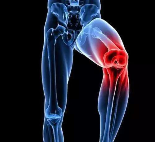 头条问答 - 靠墙蹲能练好膝盖吗?(37个回答)