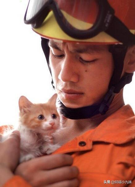 救援猫卡组:你觉得消防员应该救猫吗？