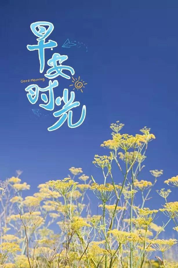 周三正能量早安激励语：步履不停，怀揣希望