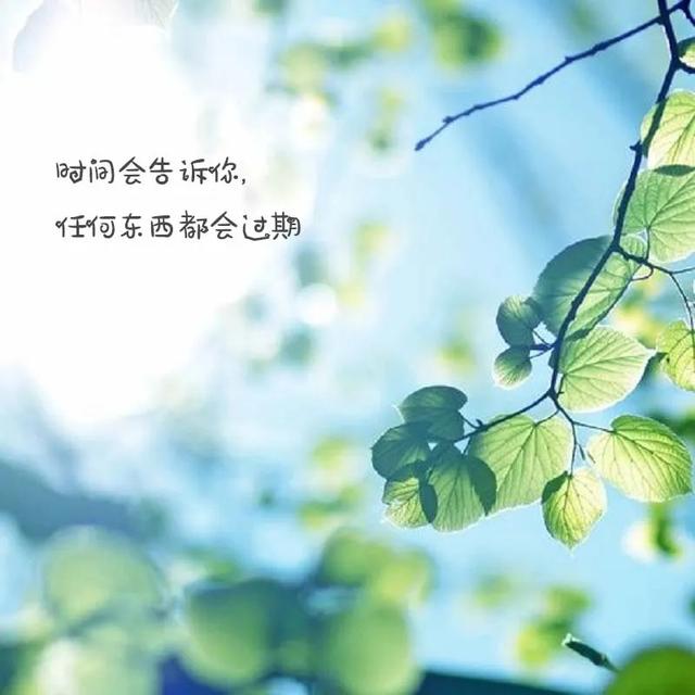 描写<a href=https://maguai.com/list/55-0-0.html target=_blank class=infotextkey>生活</a>的句子简短:能不能用一句话糙理不糙的句子来形容你现在的<a href=https://maguai.com/list/55-0-0.html target=_blank class=infotextkey>生活</a>？