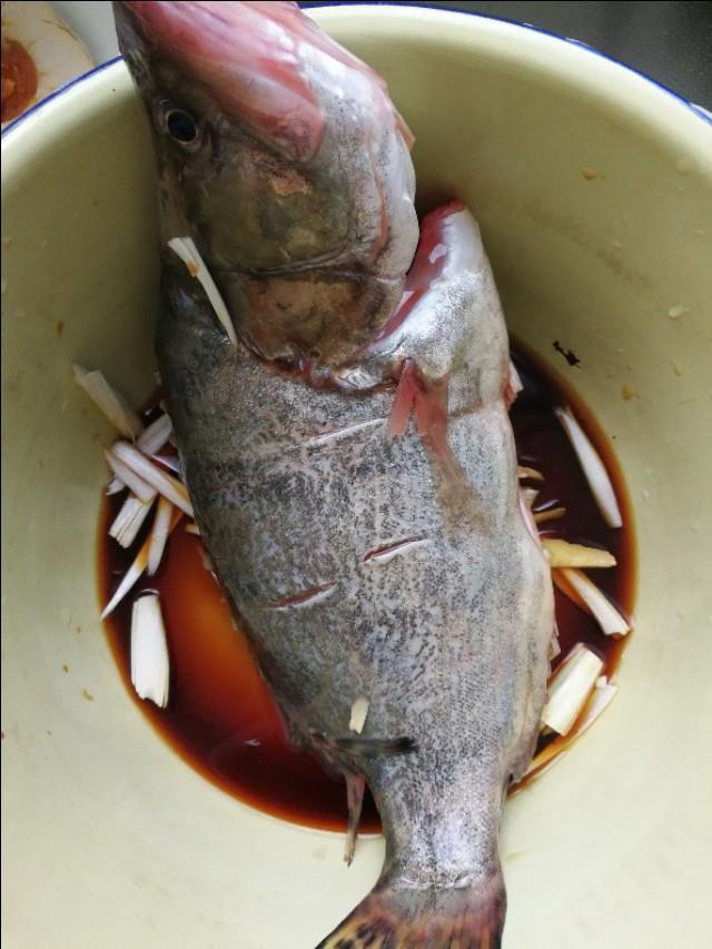 中国有什么好吃的海鱼，什么品种的海鱼最鲜，口感最好？
